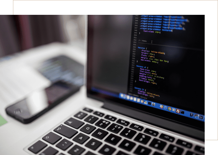 Screenshot of Frutitas Website development